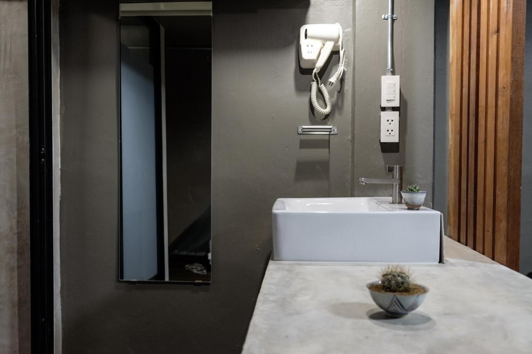 A modern bathroom with a large bathtub, a mirror, a hairdryer, and a small cactus plant on the countertop.