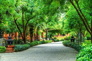 Habitación junior con 1 cama doble o 2 individuales | Vistas a la calle