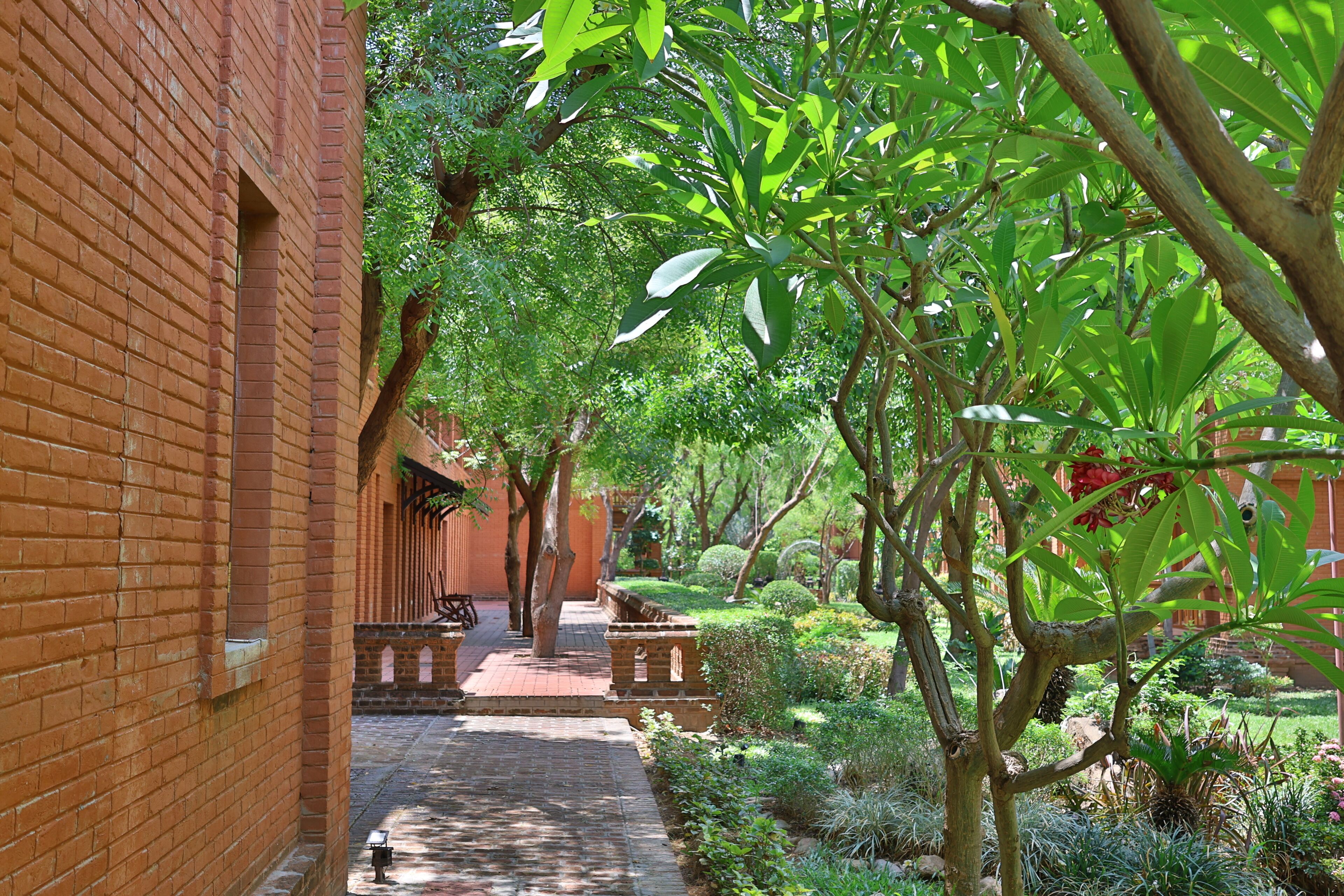 A brick pathway flanked by lush greenery and a brick building.