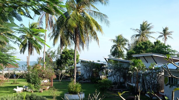 A tropical resort with palm trees, a grassy lawn, and a white building with a flat roof. - Pranburi Delight Resort (Sam Roi Yot)
