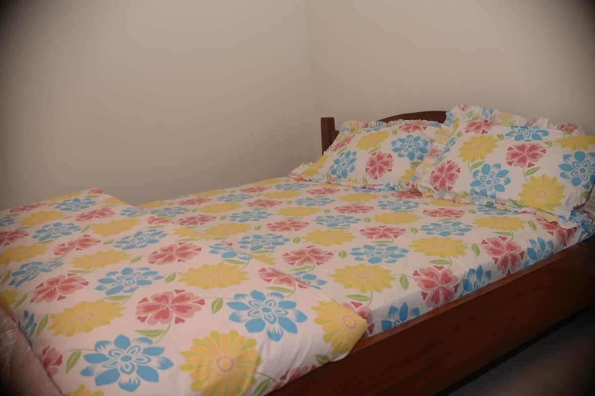 Soundproofing, iron/ironing board, free WiFi