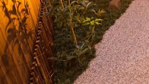 Um jardim com cerca de madeira, plantas e um caminho de cascalho.
