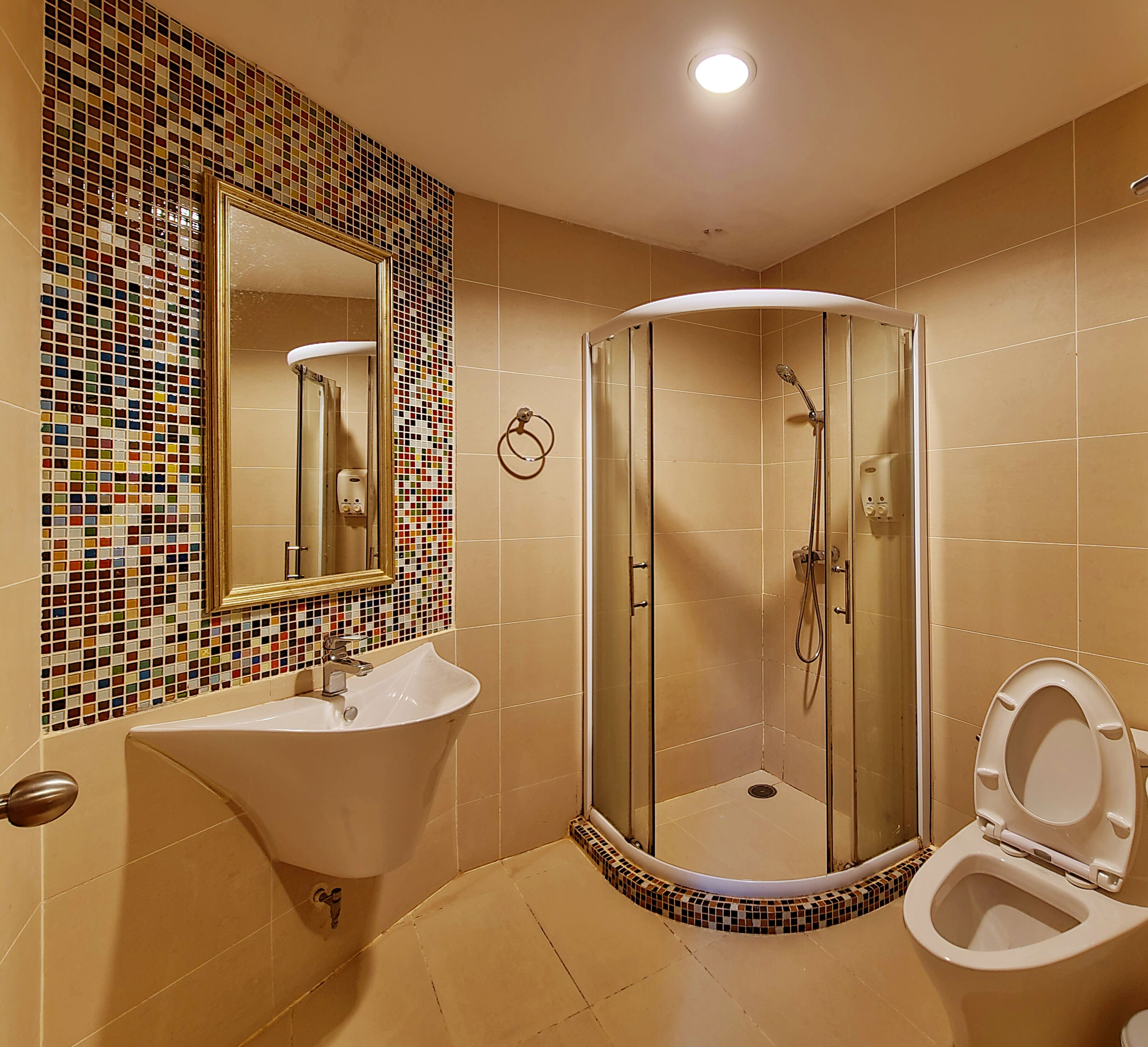 Un baño con ducha de vidrio, lavabo e inodoro.