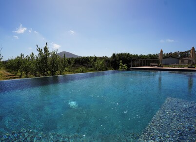 Agriturismo Casale degli Ulivi