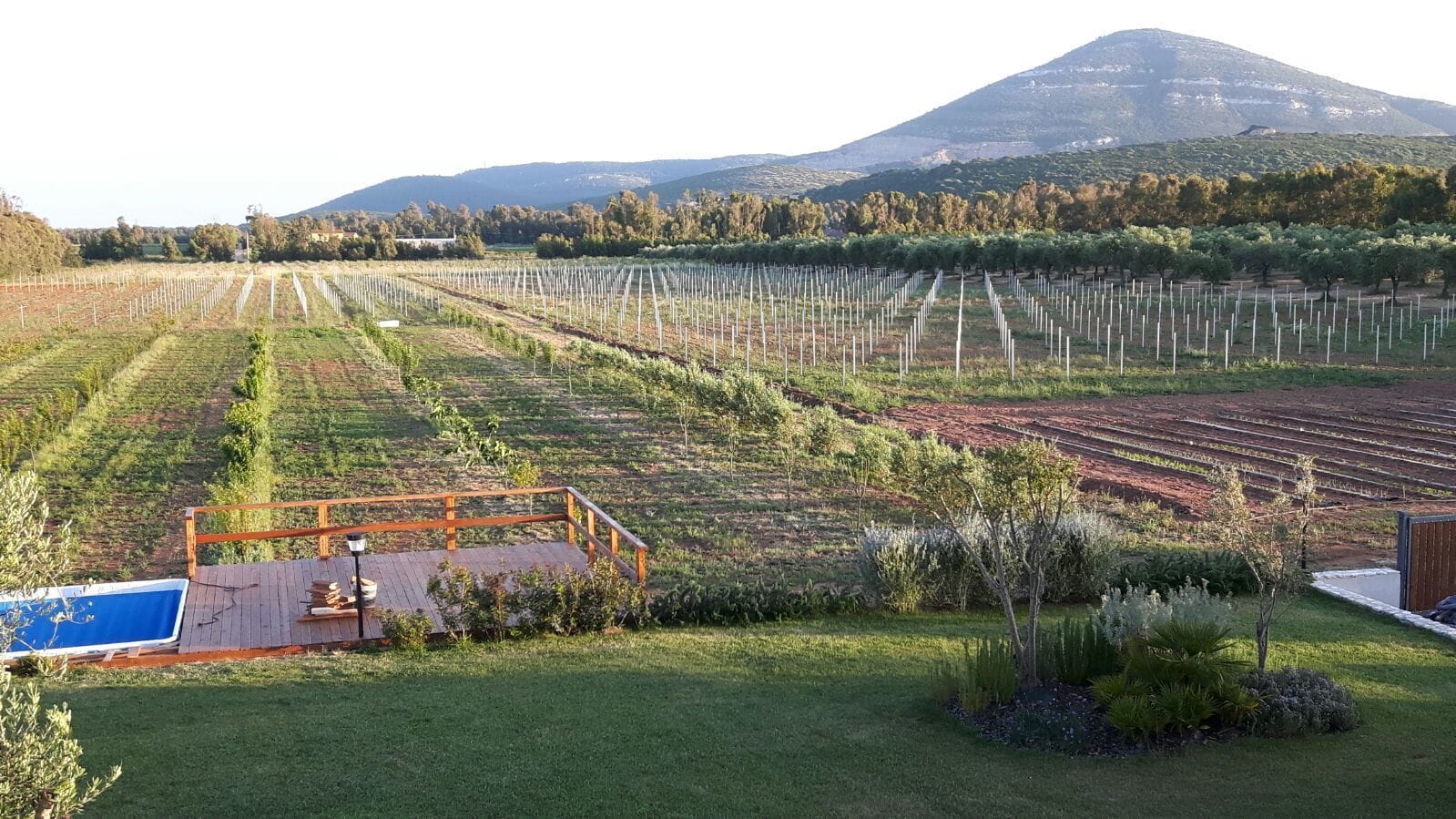 Foto - Agriturismo Casale Degli Ulivi Alghero