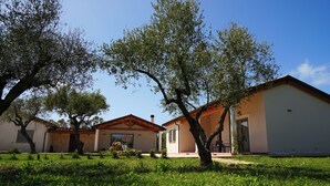 A residential property with a garden, a patio, and a small building with a tiled roof. - Agriturismo Casale degli Ulivi (Alghero)