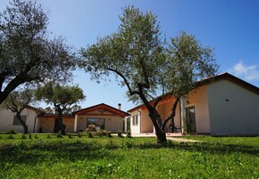 Facciata della struttura