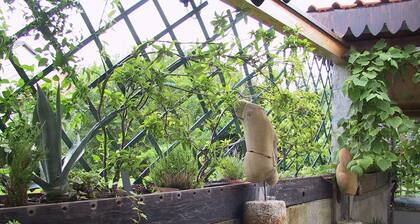 B&B Il Rustico