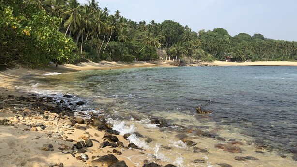 A beach with clear water, sandy shore, and dense palm trees. - Satiana Villa Tangalle (Tangalle)
