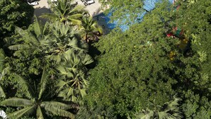 A resort with a large swimming pool surrounded by palm trees and lounge chairs. - Anta Residence Self-service Apartment (Chiang Mai)