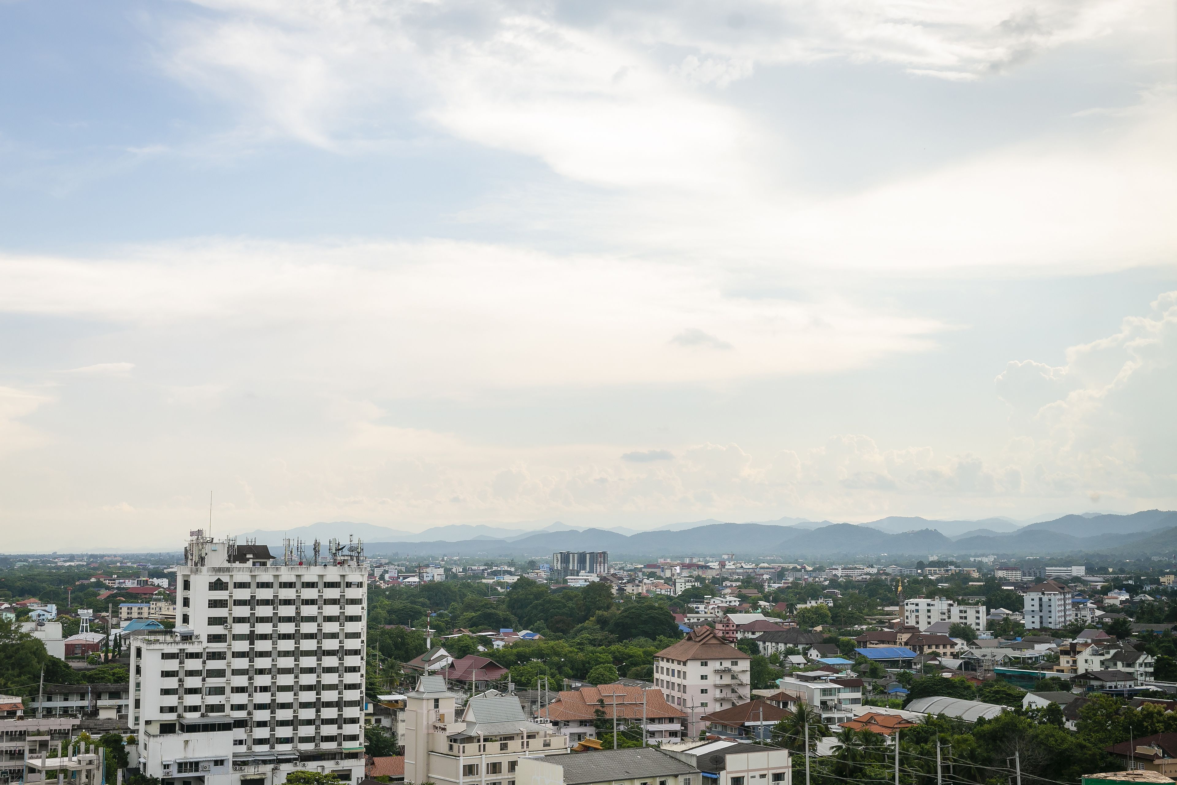 suite, 2 bedrooms, city view | city view