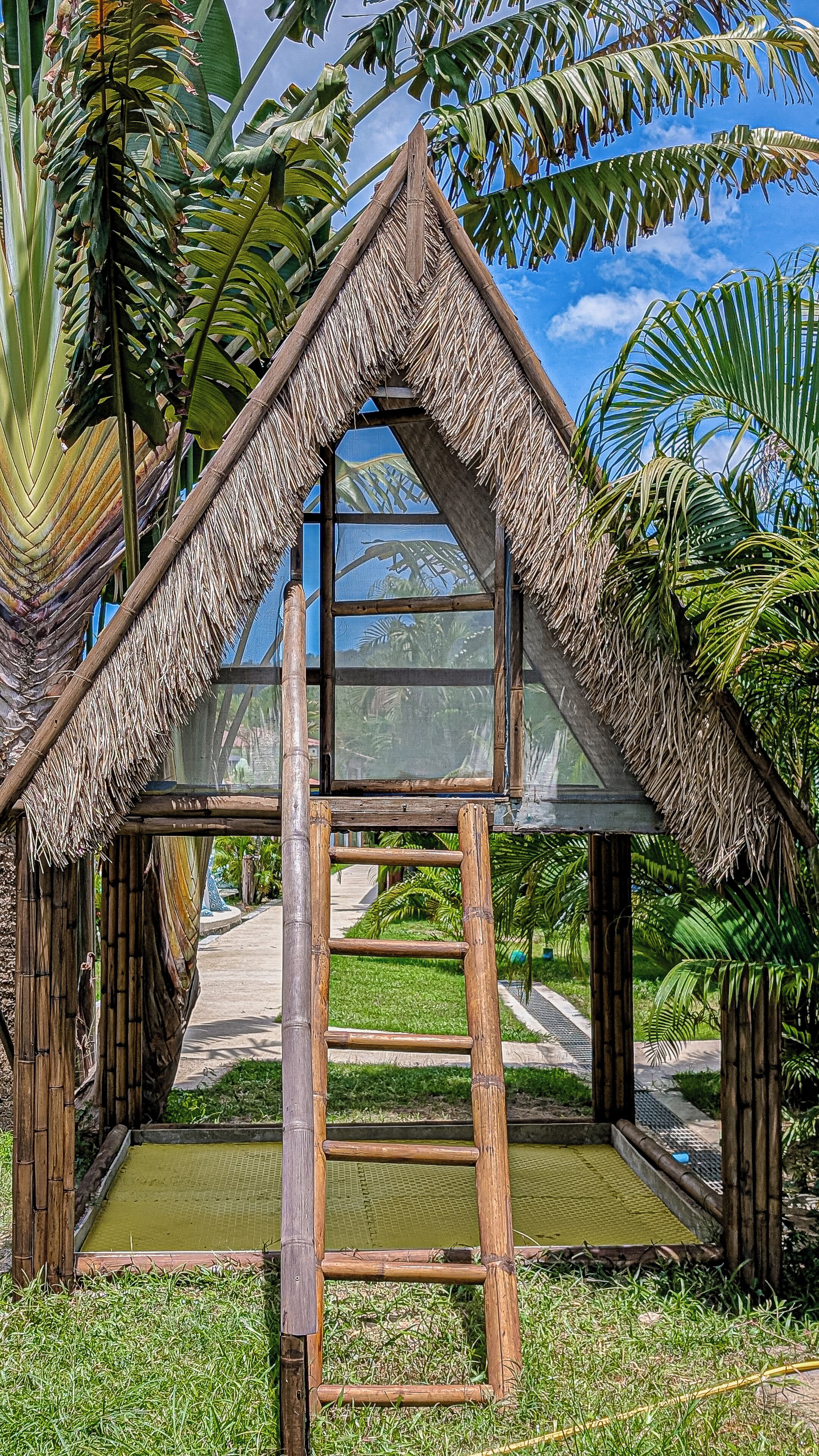 A thatched-roof structure with a ladder leading to a glass window, surrounded by lush greenery.