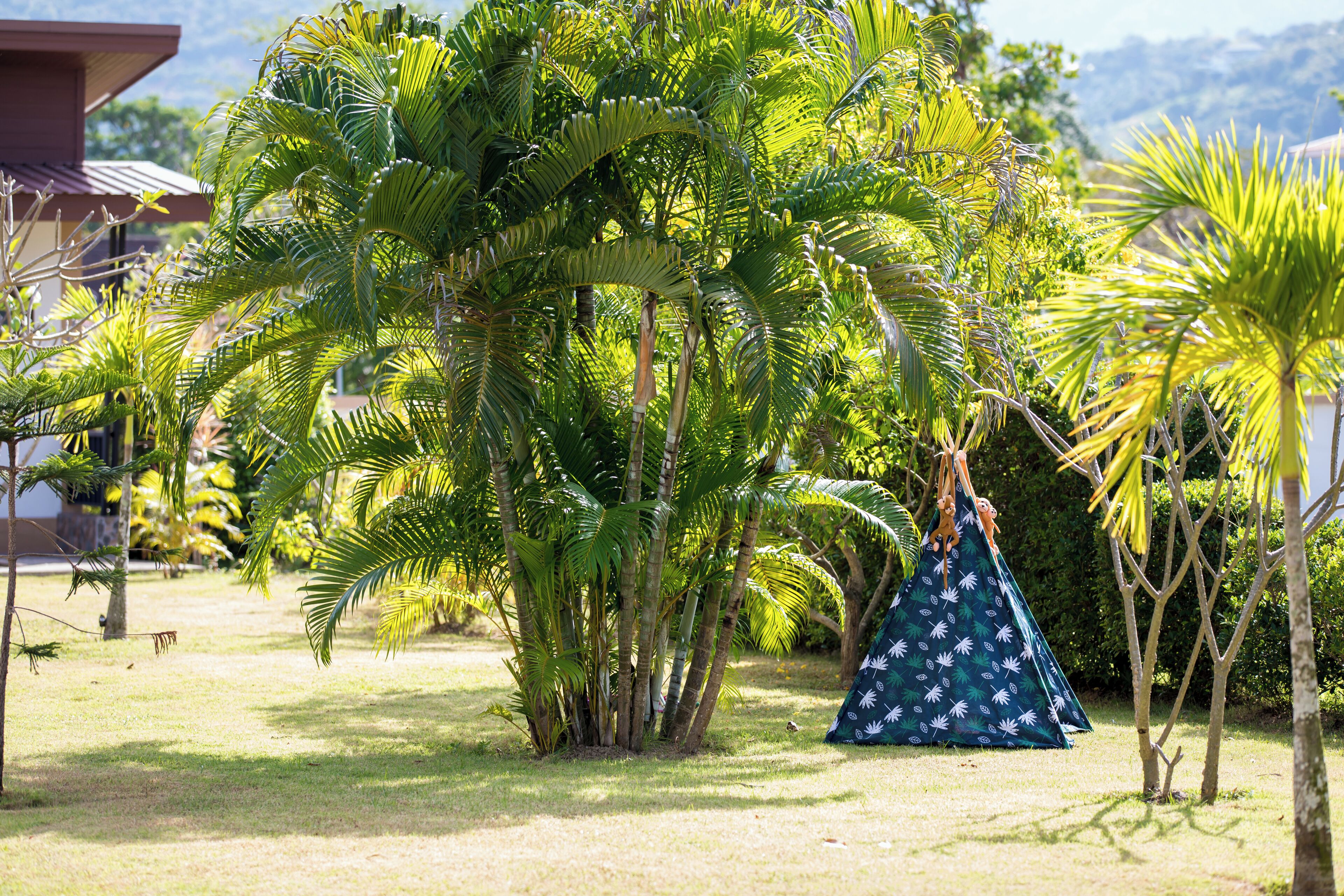 Photo - Maya Resort Samui - Family resort-Sha Plus Extra