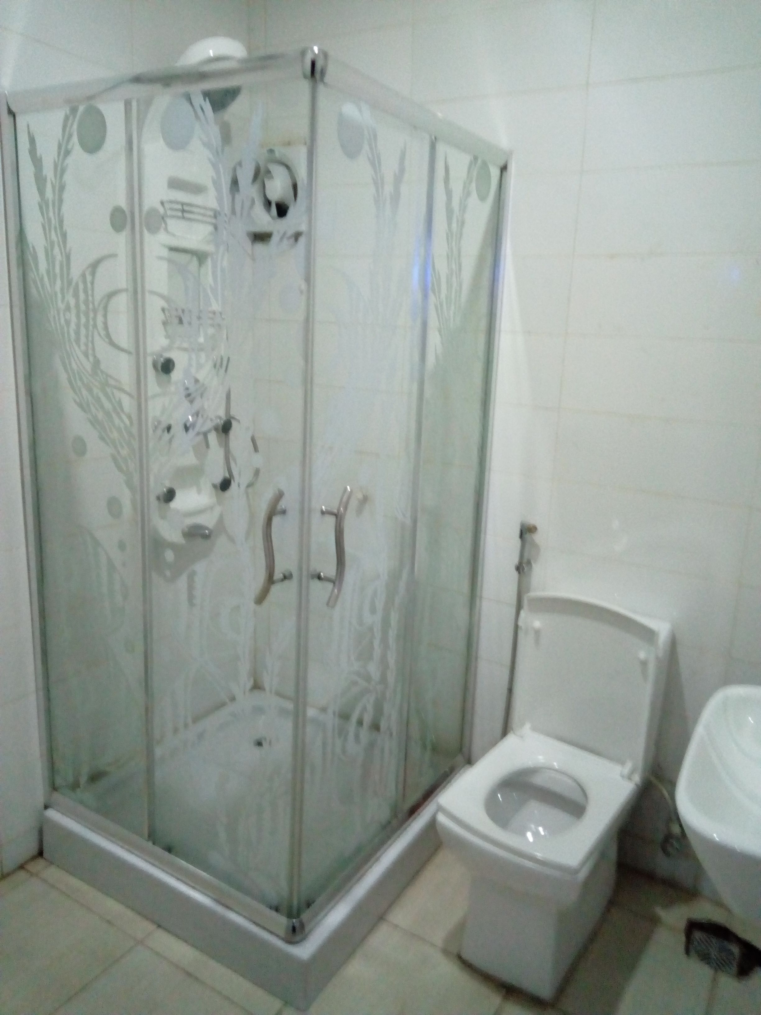 Ducha con mampara de vidrio, inodoro y bidé a la derecha.