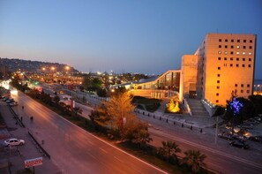 Vista desde la propiedad