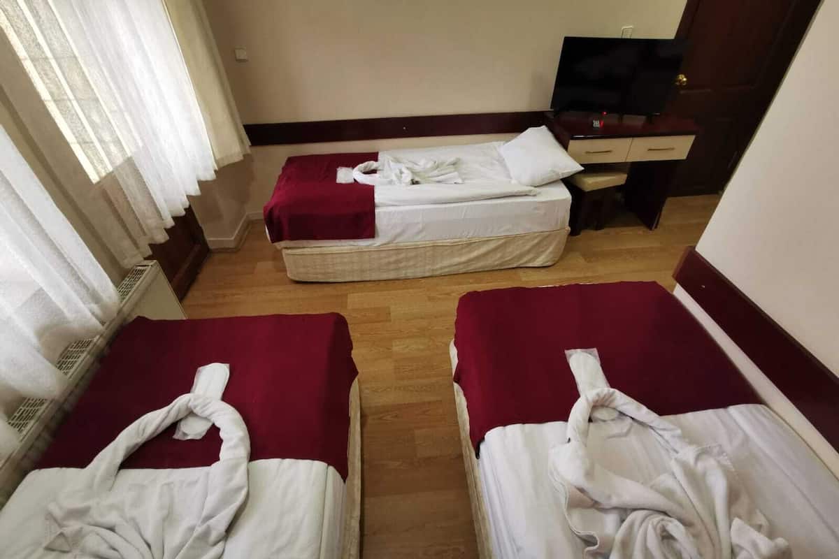 Triple Room | Desk, soundproofing, free WiFi