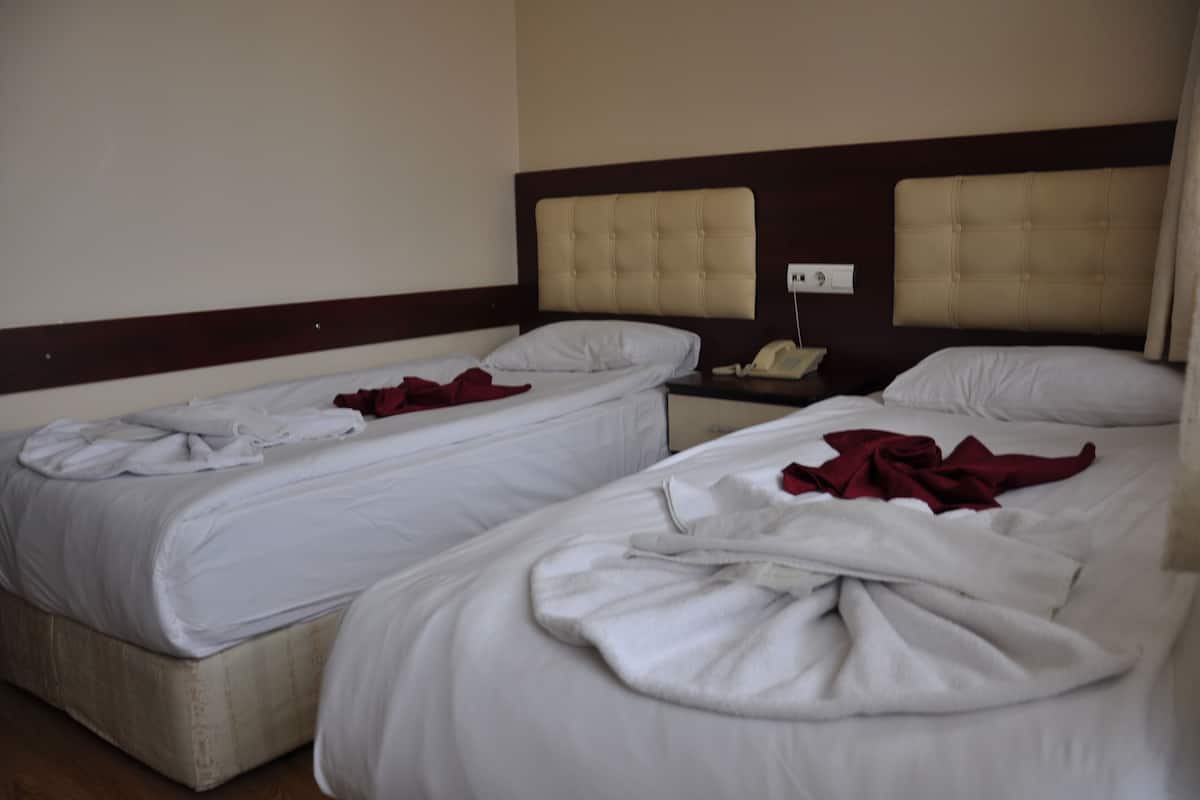 Classic Twin Room | Desk, soundproofing, free WiFi