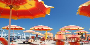 Une plage avec de nombreux parasols et des chaises longues.