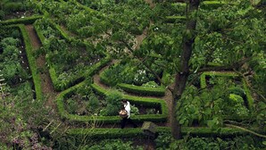 A garden maze with hedges and trees. - Buitenplaats Kasteel Elsloo (Elsloo)