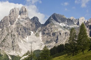 A mountainous landscape with rugged peaks, patches of snow, and green trees. - Das Filzmoos (Filzmoos)