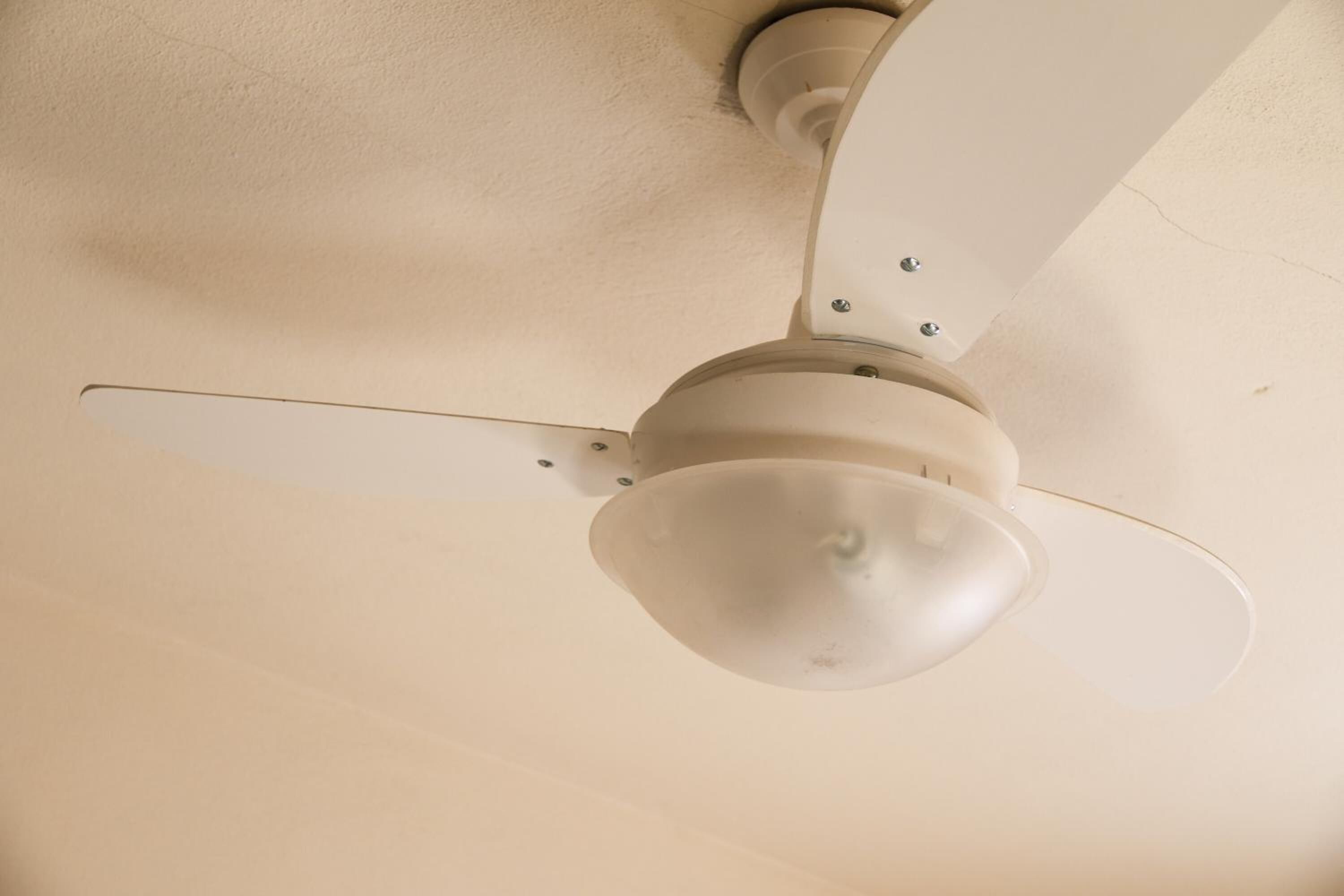 shower, free toiletries, hair dryer, bidet