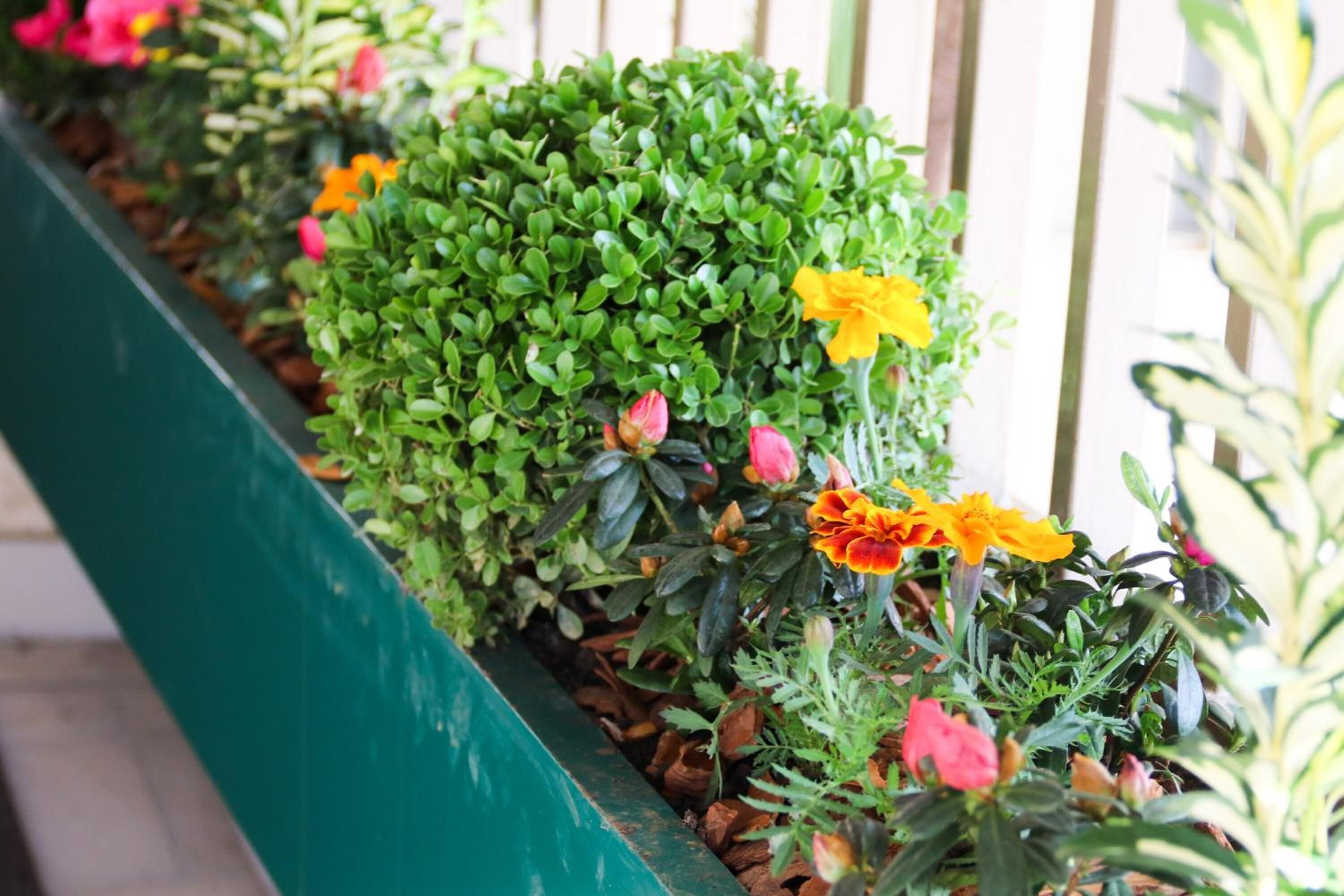 A green planter box with various plants and flowers, including marigolds and a yellow flower.