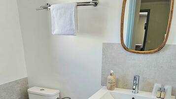 A bathroom with a toilet, sink, mirror, and towel rack.
