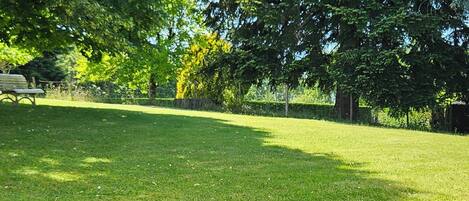Un parque con zona verde, árboles y un sendero de piedra.