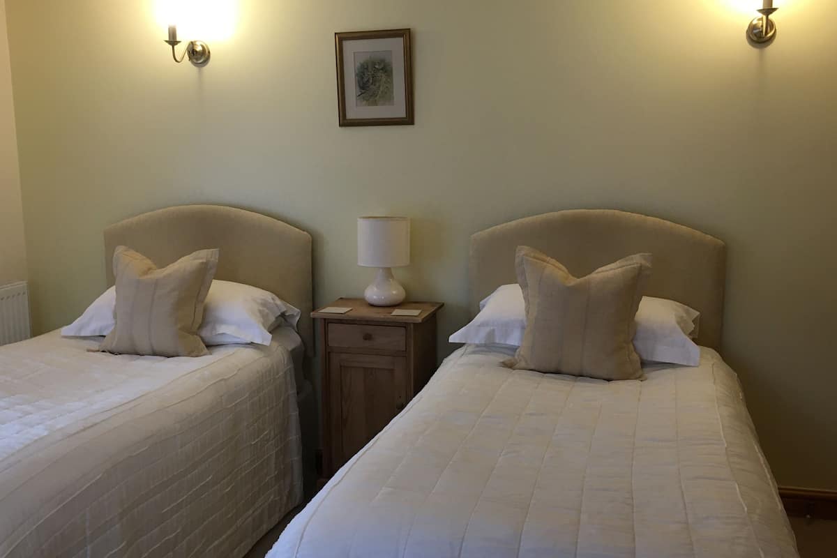 Standard Twin Room, Accessible, Ensuite (Wren's Retreat) | Individually decorated, individually furnished, iron/ironing board