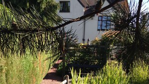 A garden pathway with a wooden bench, a pond with water lilies, and lush greenery. - Marsh Farm (Rugeley)
