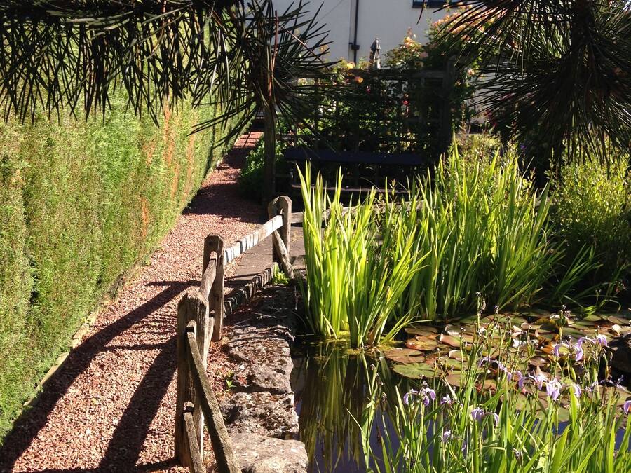 A garden pathway with a wooden bench, a pond with water lilies, and lush greenery.