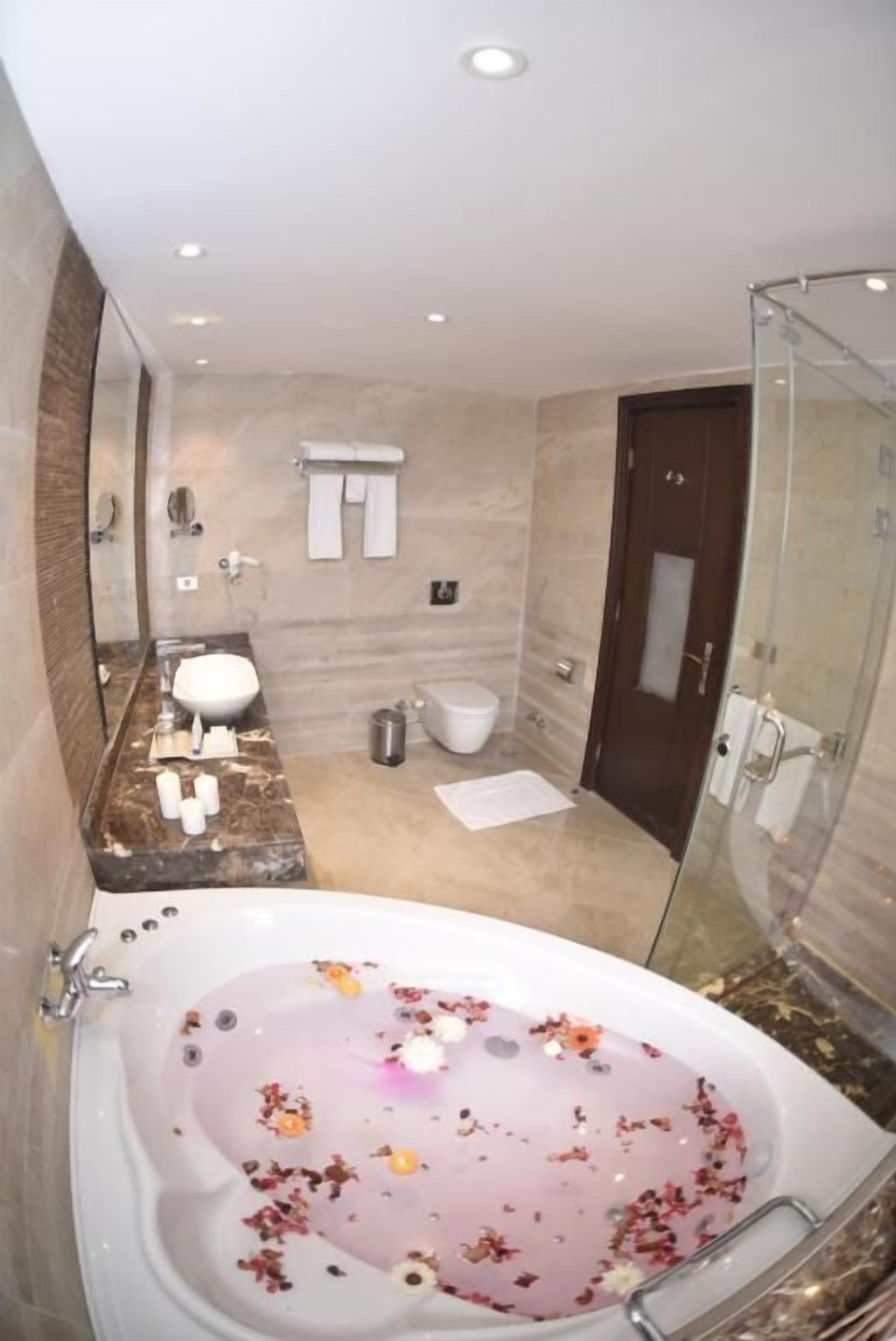 A modern bathroom with a large bathtub, a shower, and a toilet.