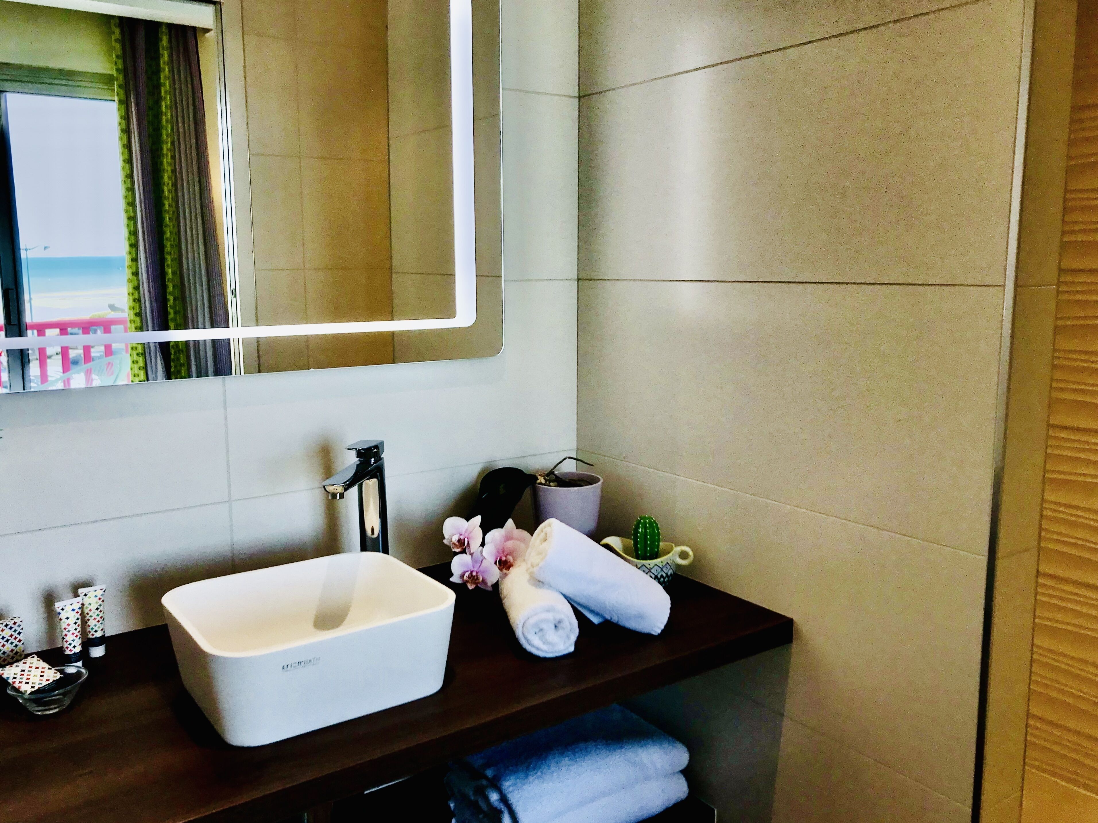 A bathroom with a white sink, a mirror, a towel rack, and a small potted plant.