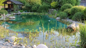 Sæsonbestemt udendørs pool, en naturpool, parasoller, liggestole