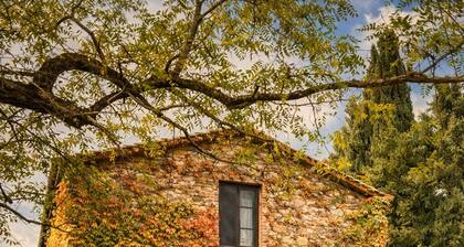 Fattoria Lornano Winery