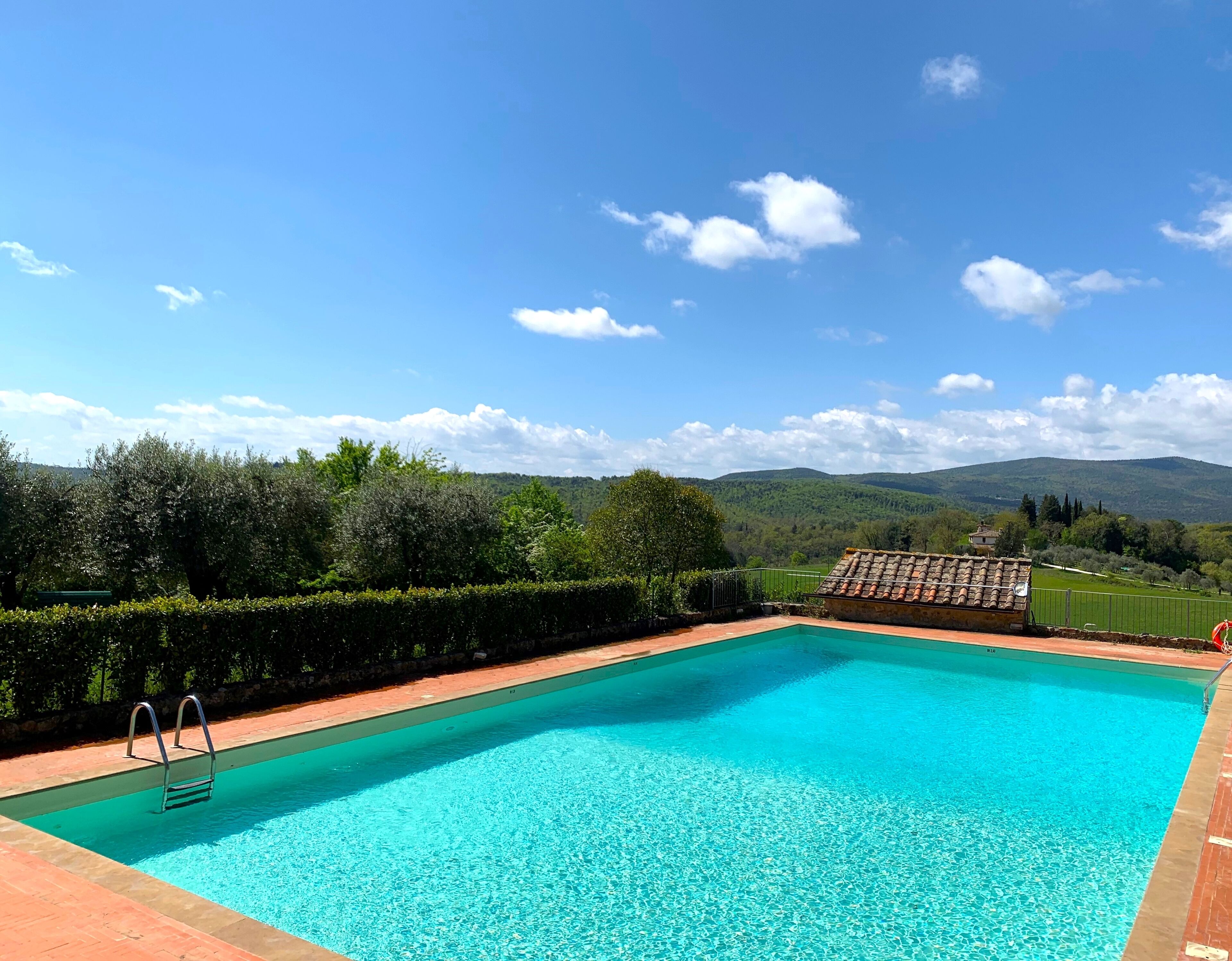 A clear blue swimming pool with a metal ladder, surrounded by a brick deck, set against a backdrop of lush green trees and distant hills under a blue sky.