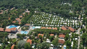 Vista aérea de un camping con vehículos recreativos, una piscina y una playa al fondo.