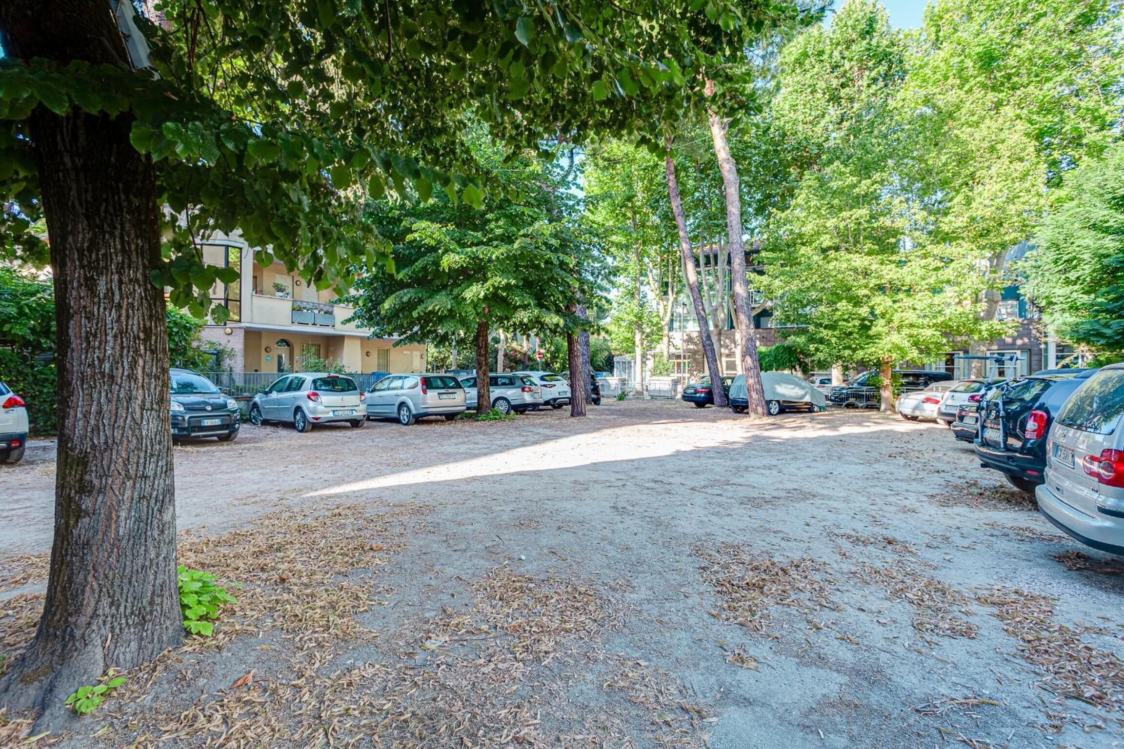A parking area with multiple cars and trees.