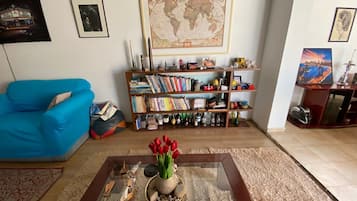 Fireplace, books, music library, video library