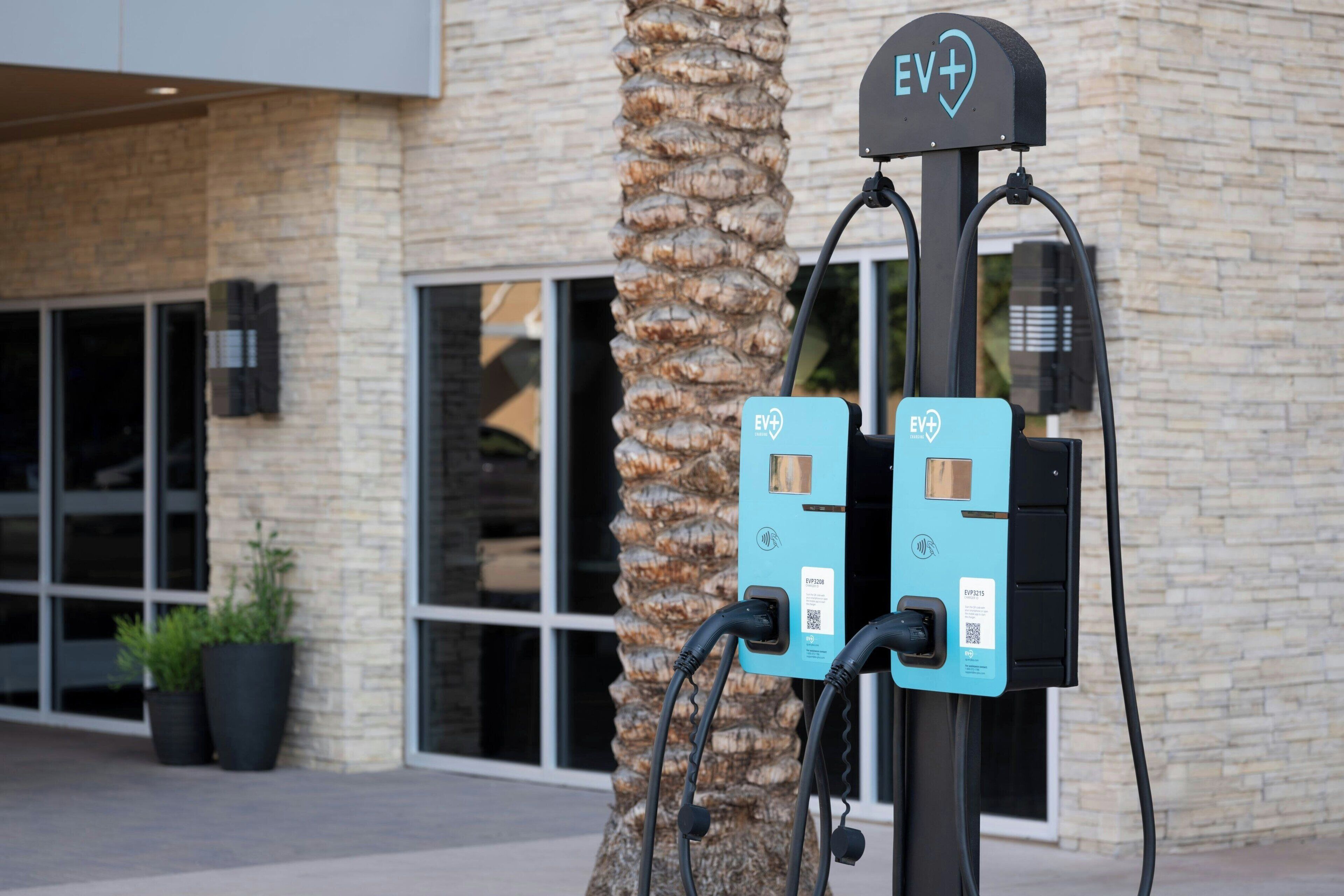 An electric vehicle charging station with two charging units, a palm tree, and a building with large windows in the background.