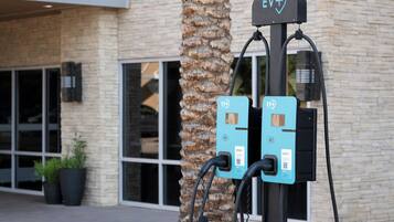 An electric vehicle charging station with two charging units, a palm tree, and a building with large windows in the background.