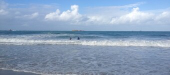 Wooden house at 50 m from the beach, 250m from the Pointe de Primel