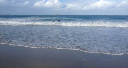 Wooden house at 50 m from the beach, 250m from the Pointe de Primel
