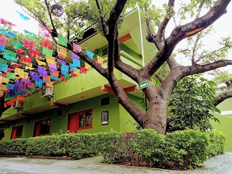 Courtyard. Hotel Los Ciruelos