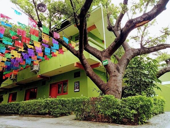 Courtyard - Hotel Los Ciruelos (Oaxaca)