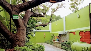 A narrow stone pathway flanked by green walls and a tree with a directional sign. - Hotel Los Ciruelos (Oaxaca)