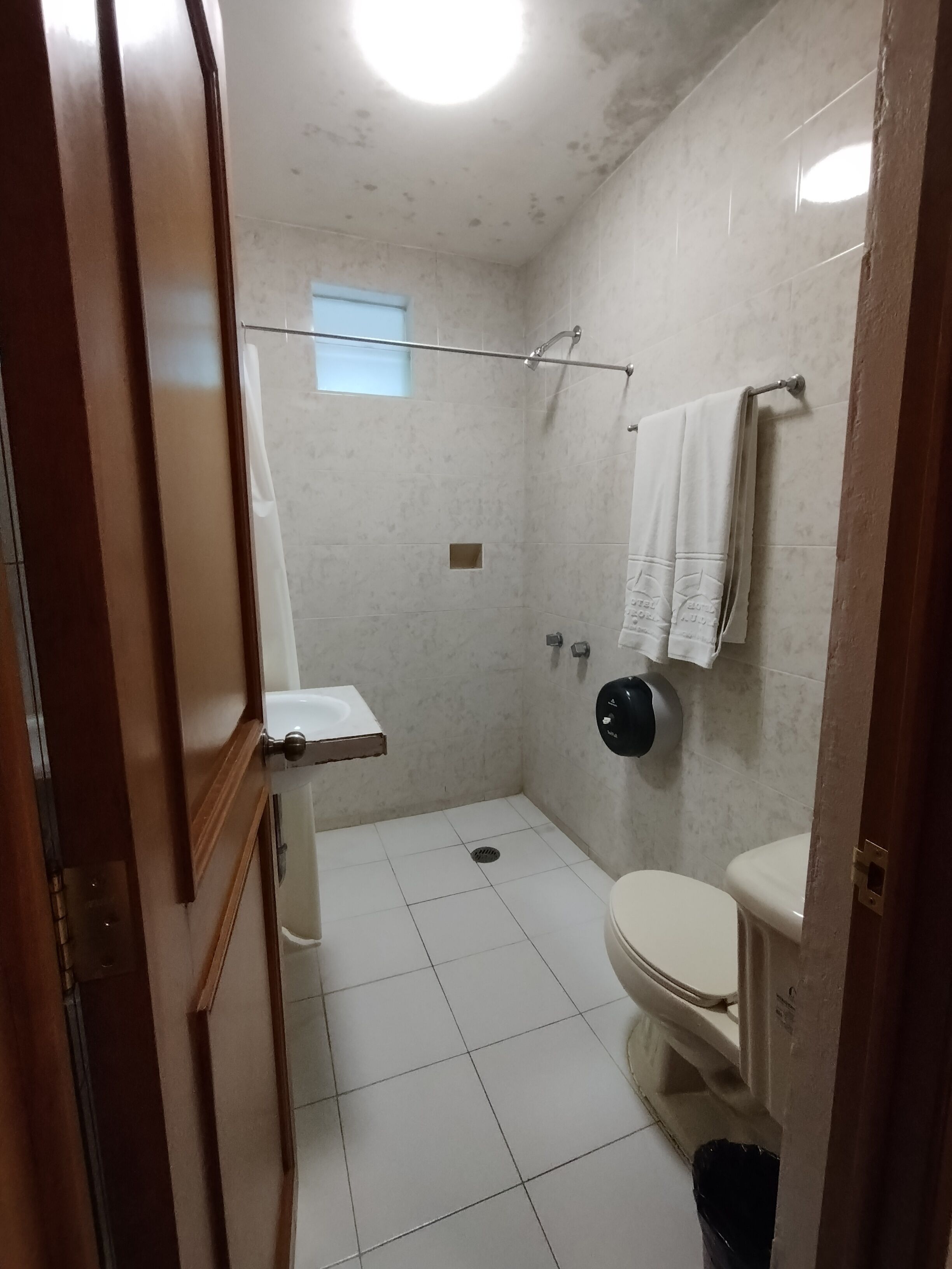 standard double room, 2 double beds | bathroom | shower, free toiletries, hair dryer, towels