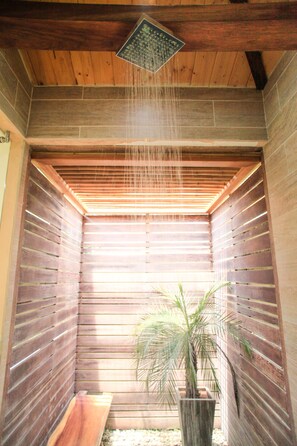 Vichy shower