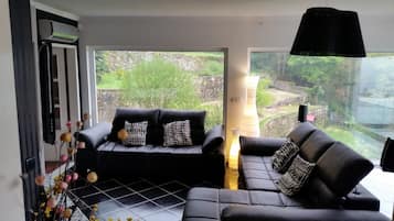 TV, fireplace, video games, DVD player