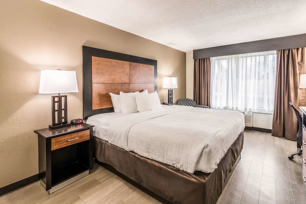 Standard Room, 1 King Bed, Non Smoking | Desk, laptop workspace, blackout drapes, iron/ironing board